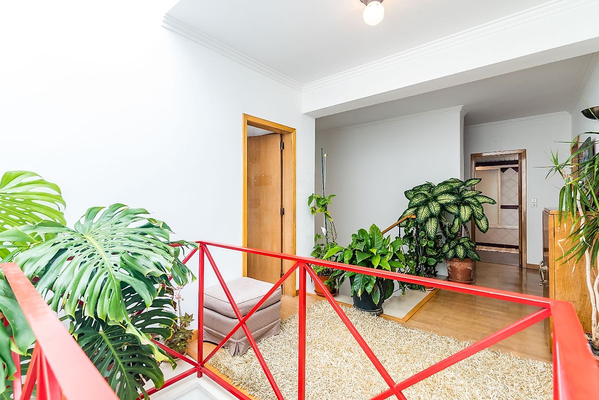 listing 122291092-528 picture-0