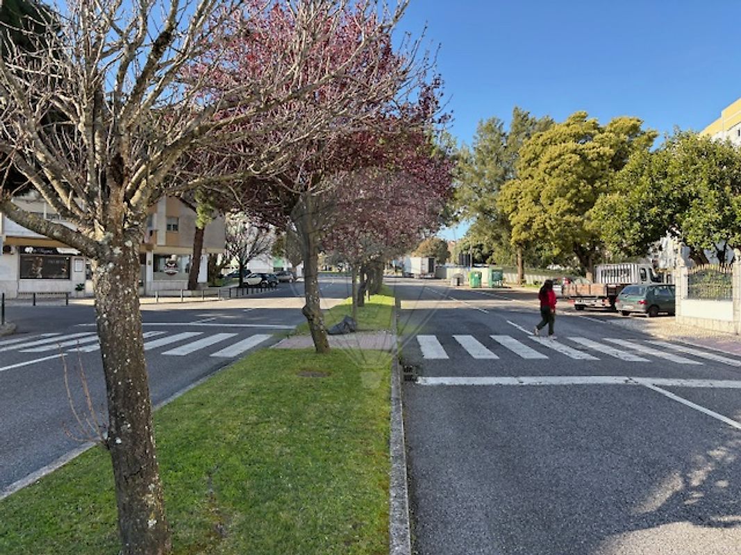 listing 122291092-528 picture-0