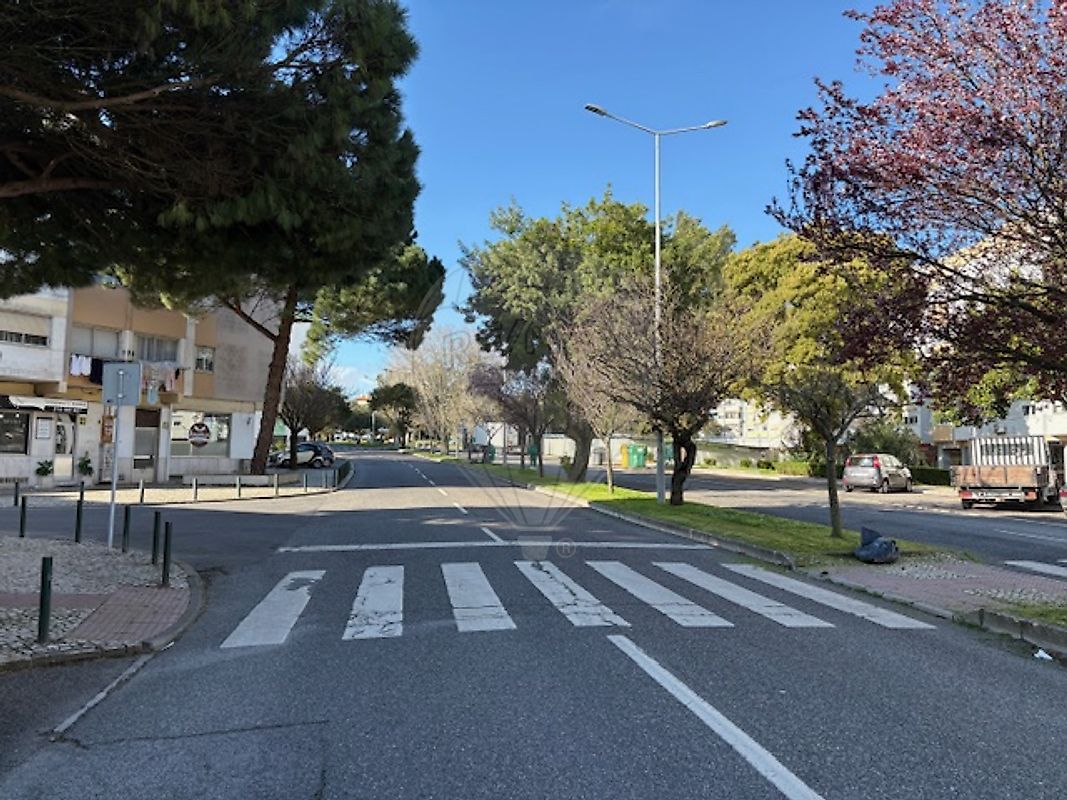 listing 122291092-528 picture-0