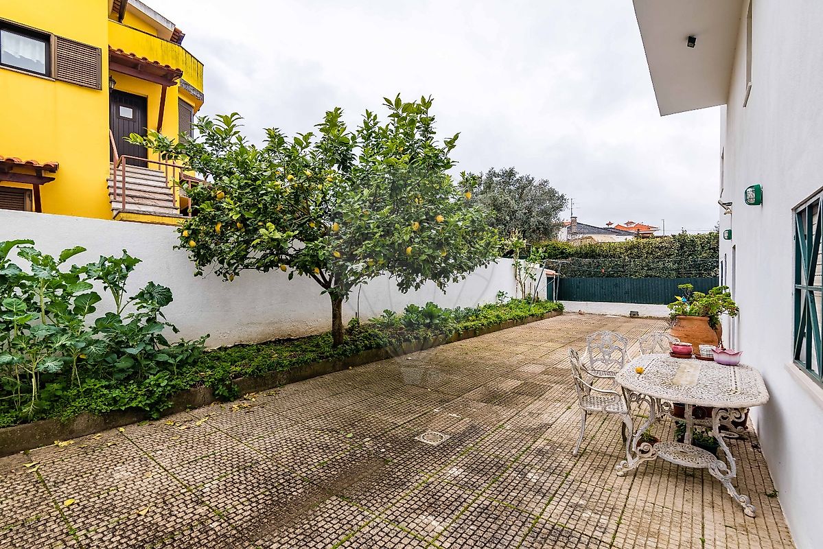 listing 122291092-528 picture-0