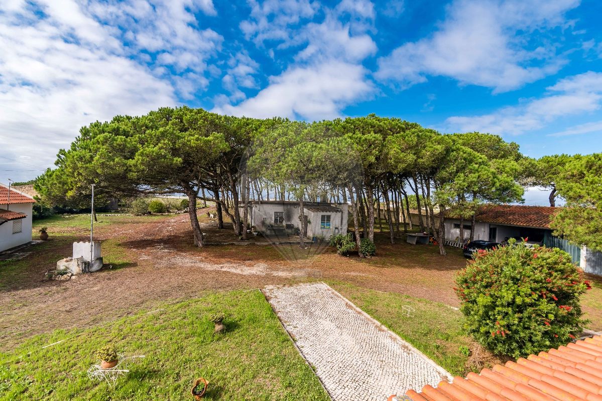 listing-picture-0