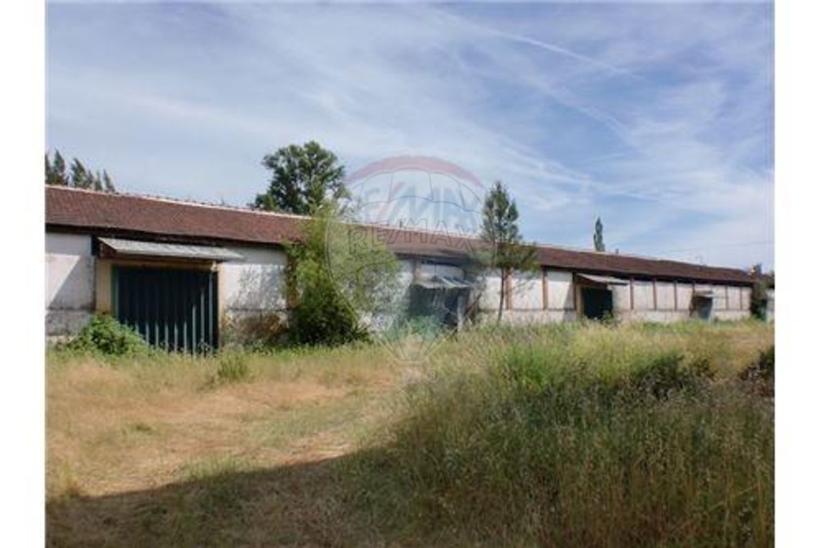 listing-picture-0