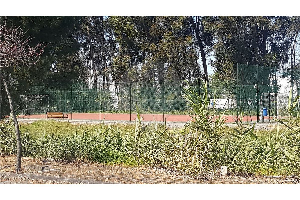 listing-picture-0