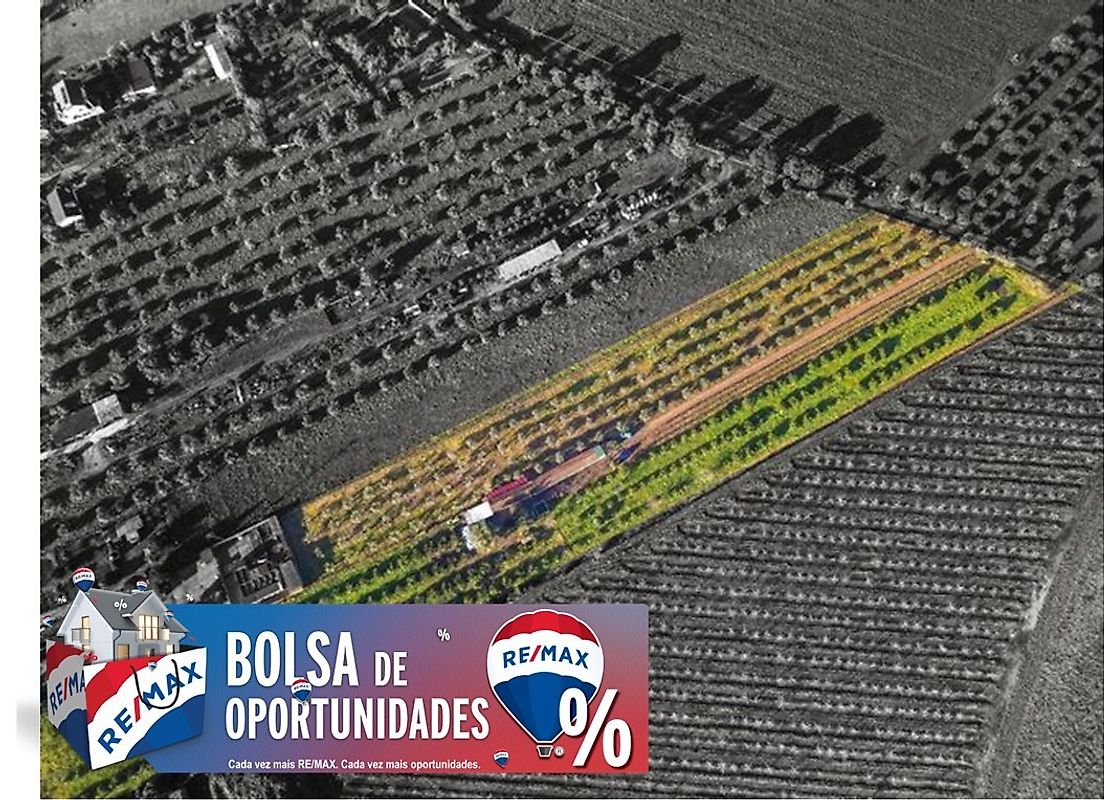 Quinta - Golegã, Golegã, Santarém