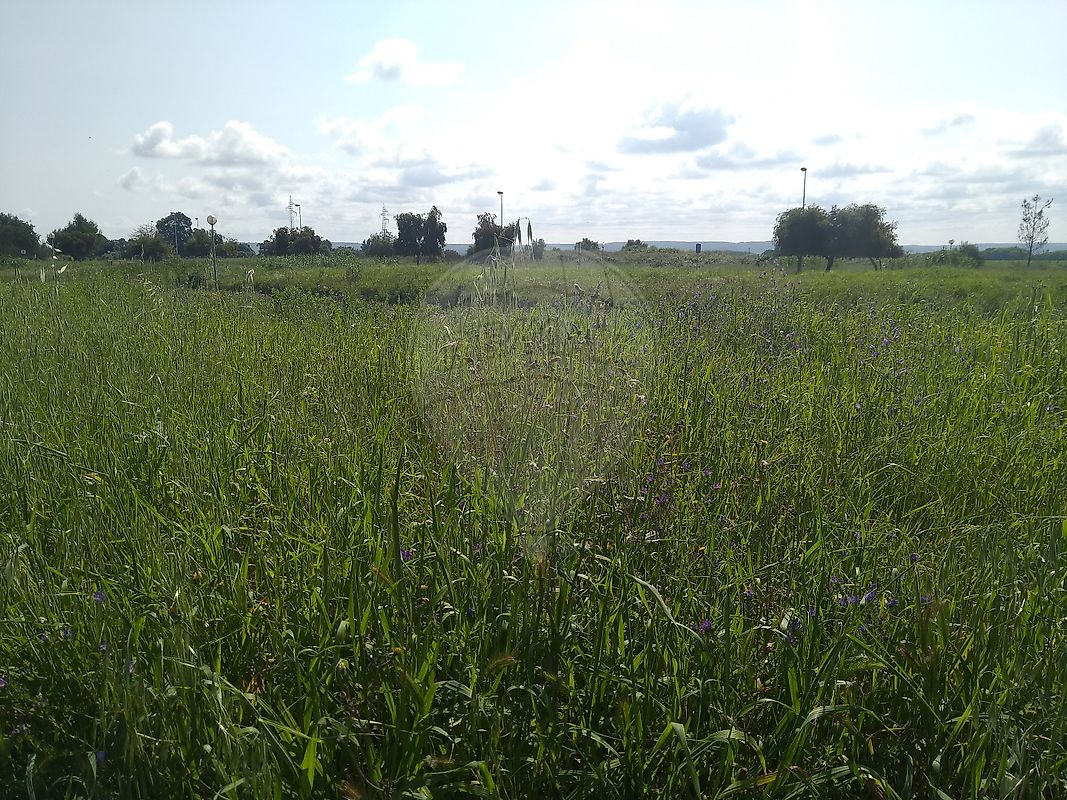 Terreno para venda