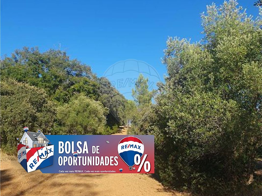 Terreno - Olaia e Paço, Torres Novas, Santarém