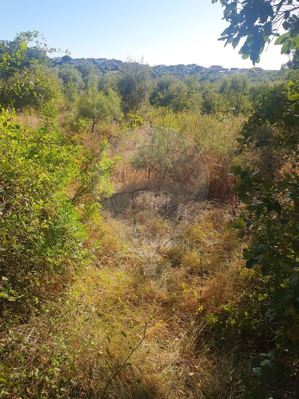 Terreno  para venda
