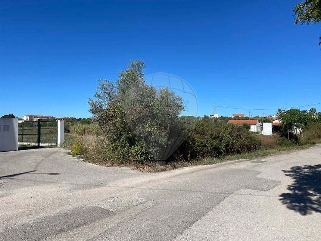 Terreno - Riachos, Torres Novas, Santarém