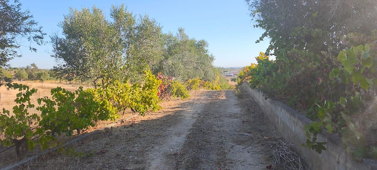 Terreno  para venda