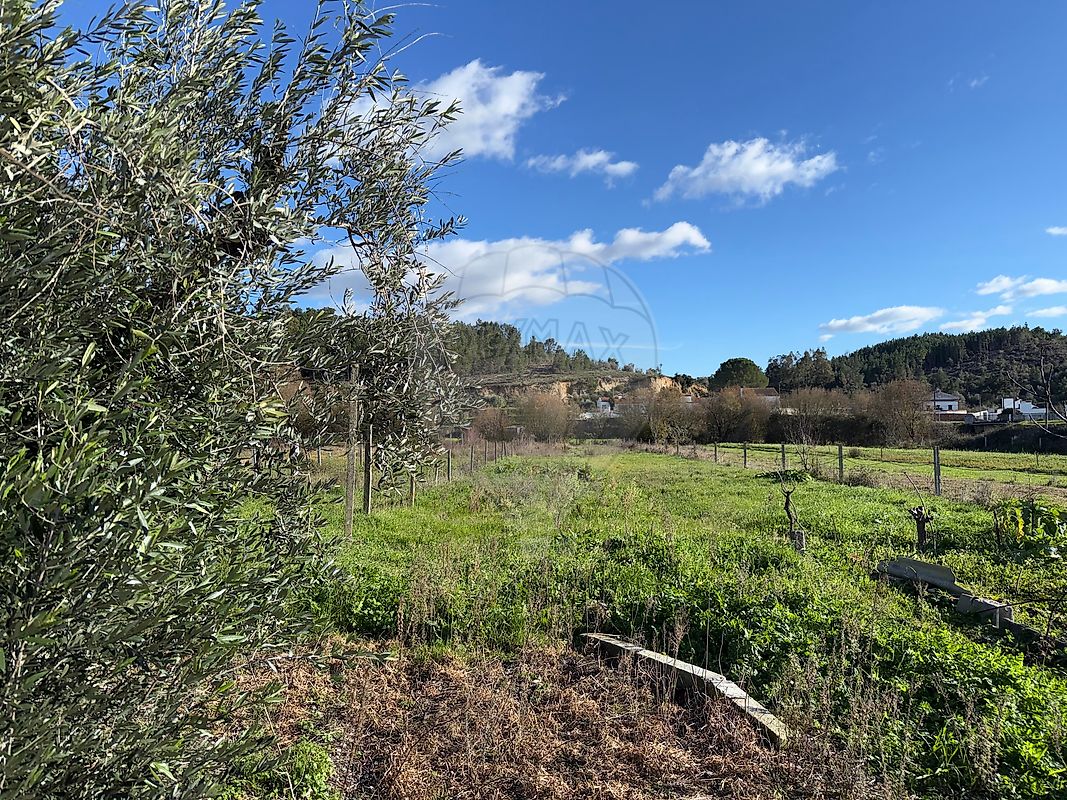 Moradia T4 à venda em Comenda, Gavião — foto 20
