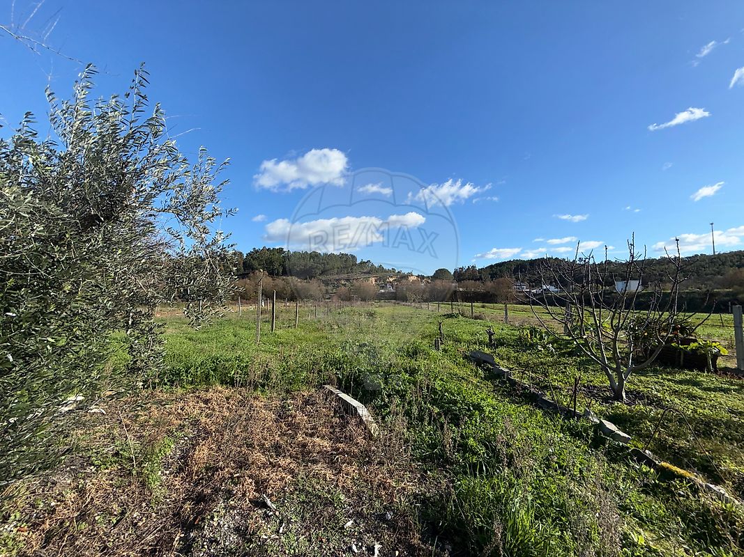 Moradia T4 à venda em Comenda, Gavião — foto 19