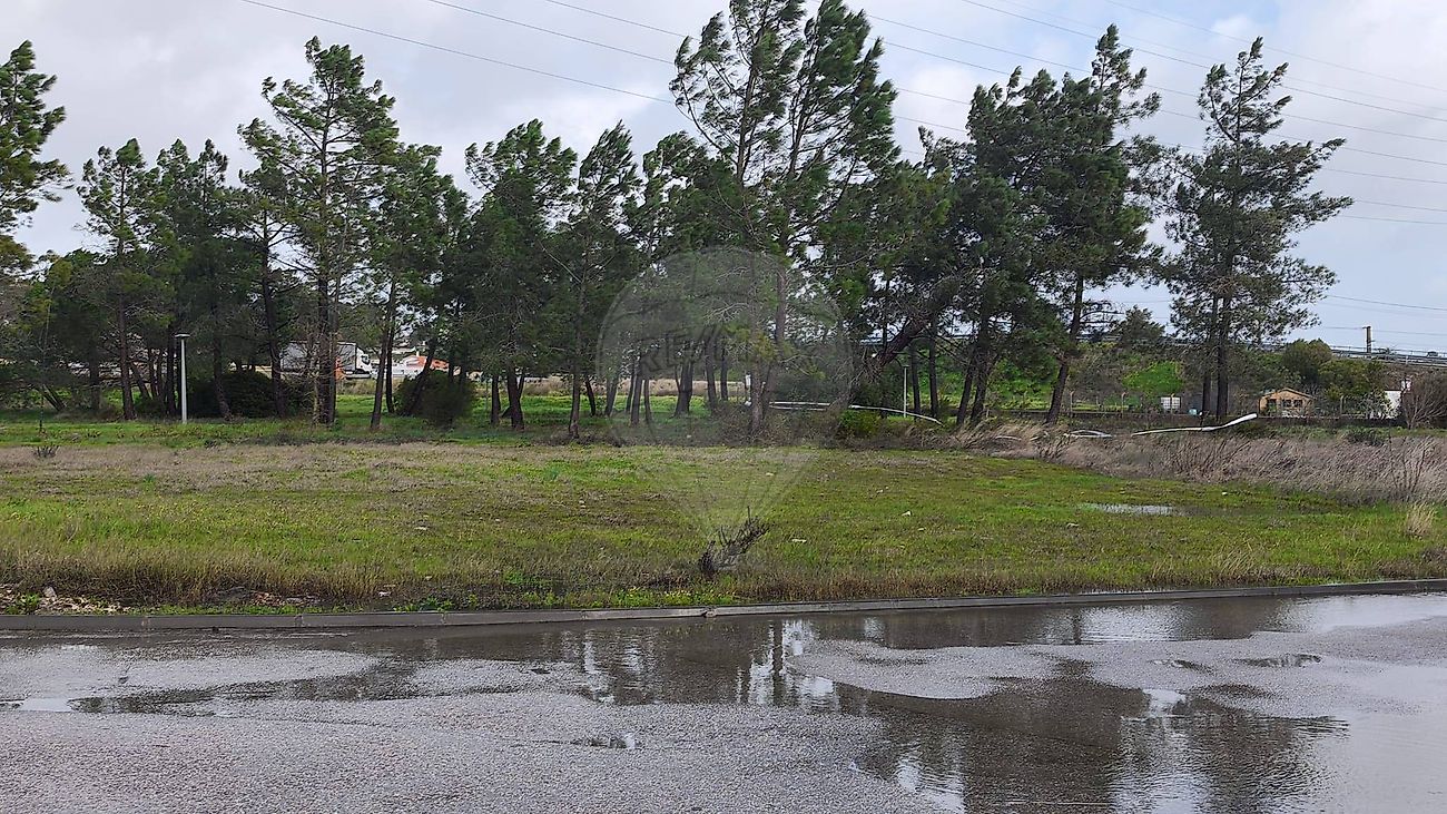 Terreno à venda em Entroncamento