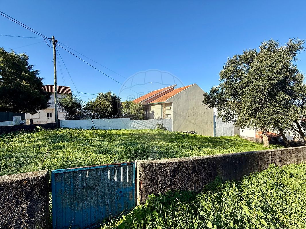 Terreno - Meia Via, Torres Novas, Santarém