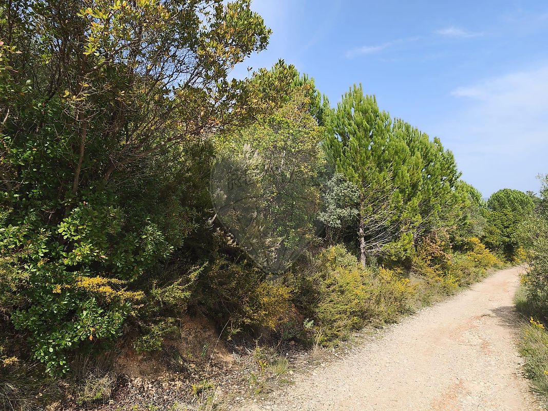Terreno - Monsanto, Alcanena, Santarém