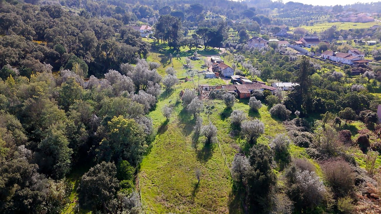 Moradia - Carregueira, Chamusca, Santarém