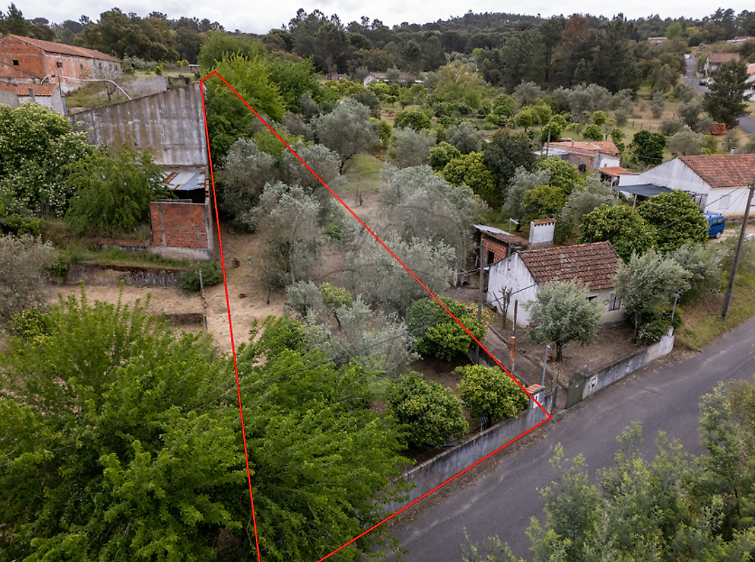 Terreno - Carregueira, Chamusca, Santarém