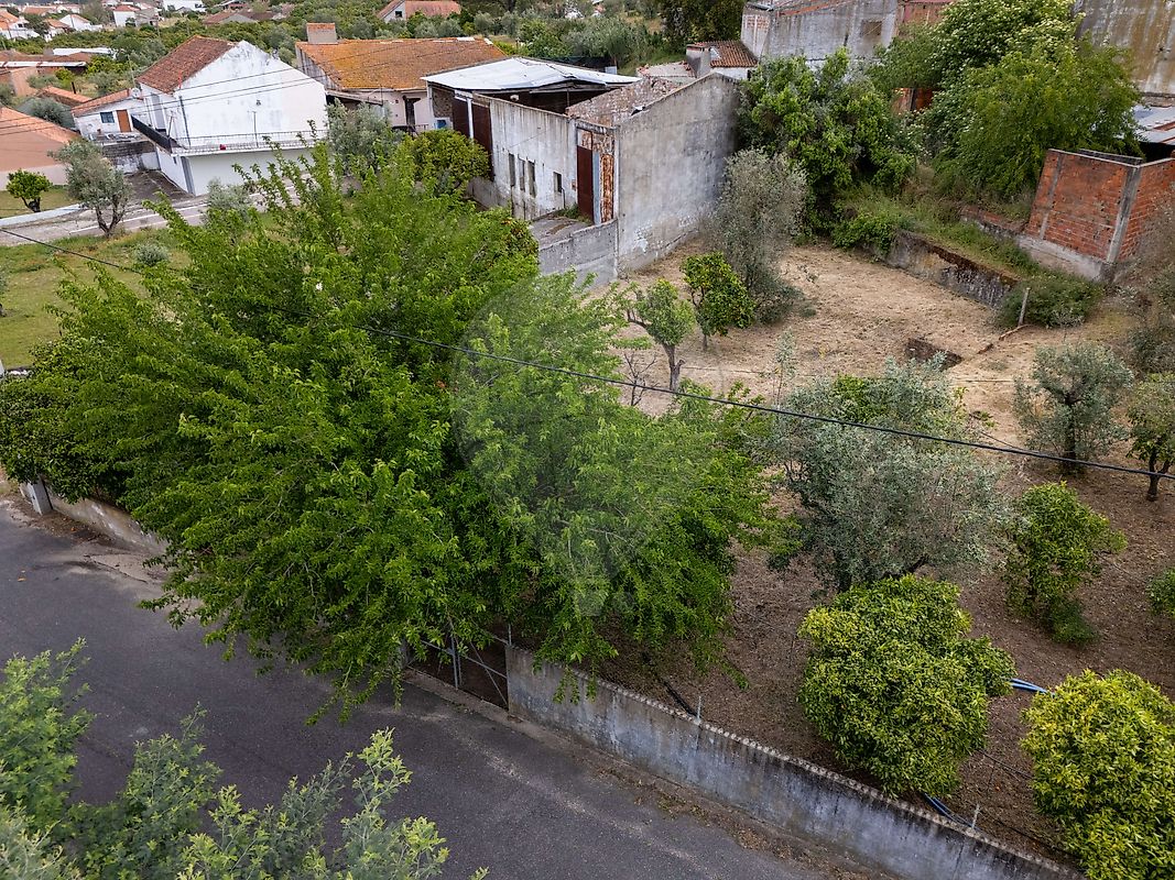 Moradia T3 à venda em Carregueira, Chamusca — foto 6