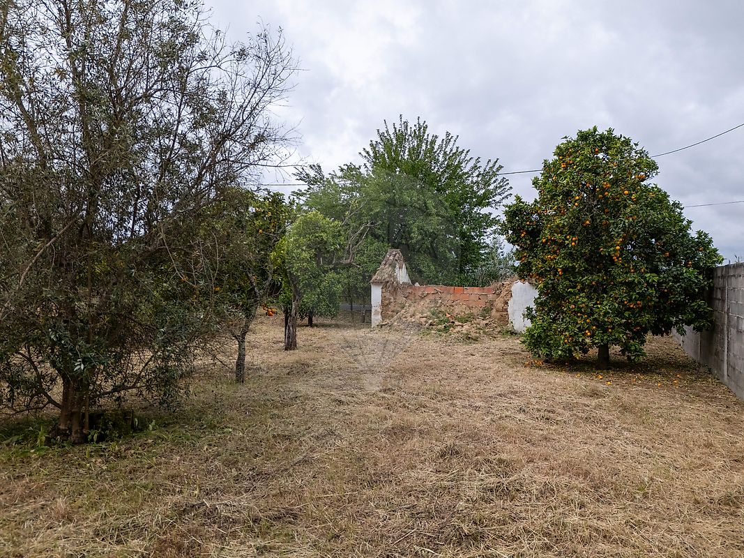 Moradia T1 à venda em Carregueira, Chamusca — foto 25