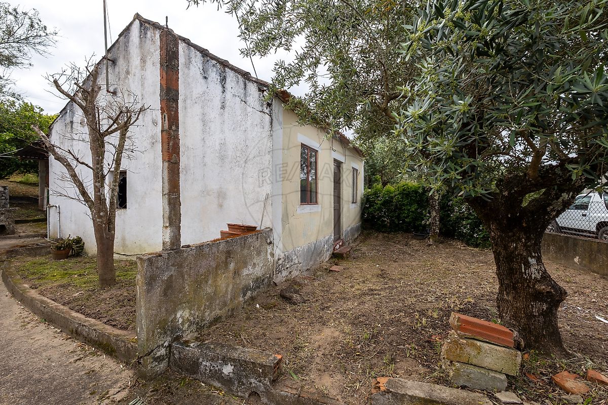 Moradia T1 à venda em Carregueira, Chamusca — foto 4