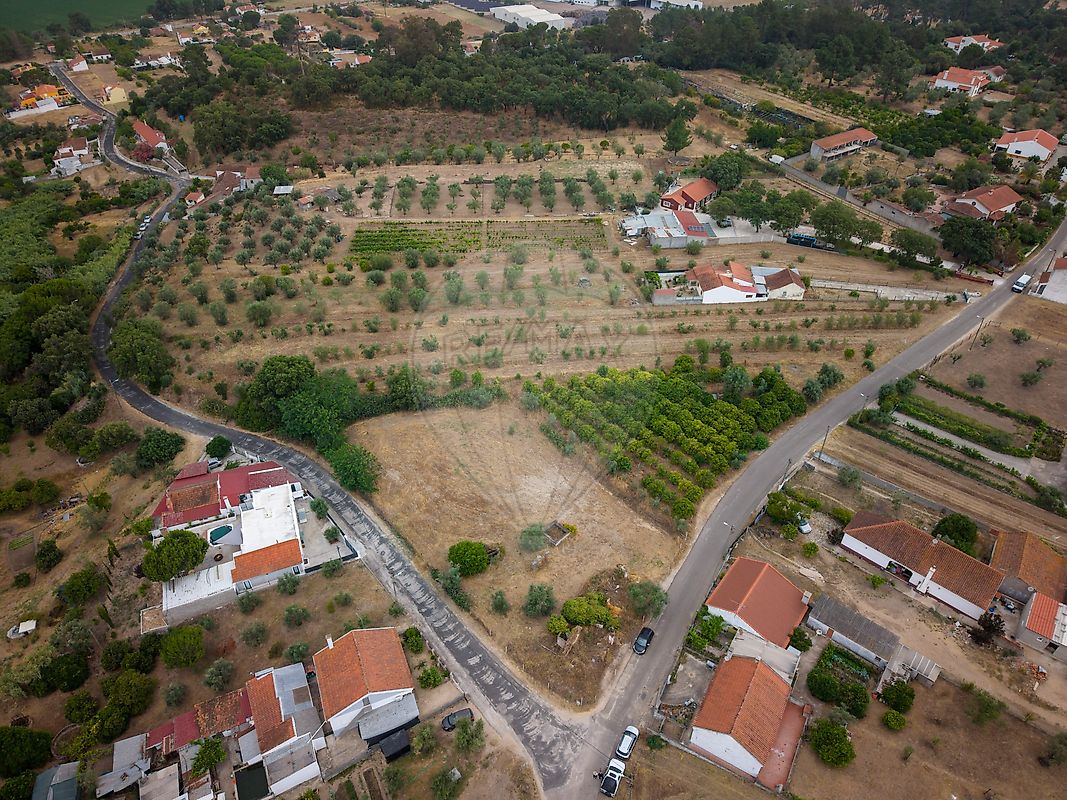 Terreno - Chamusca e Pinheiro Grande, Chamusca, Santarém