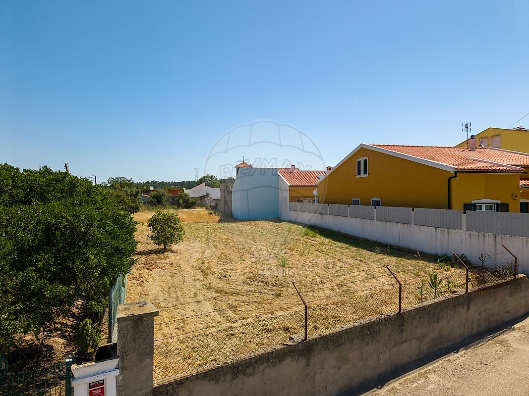 Terreno - Carregueira, Chamusca, Santarém
