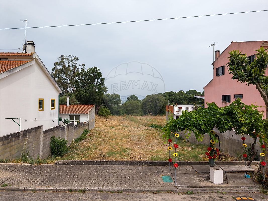 Terreno - Chamusca e Pinheiro Grande, Chamusca, Santarém
