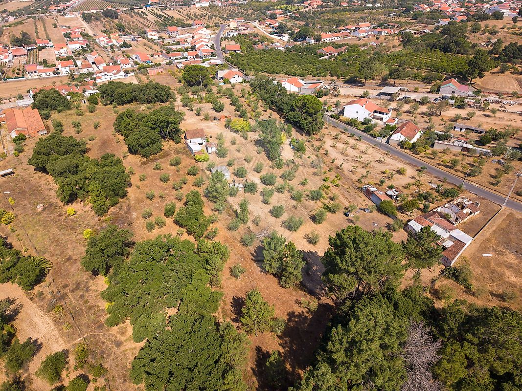 Moradia T2 à venda em Carregueira, Chamusca — foto 24