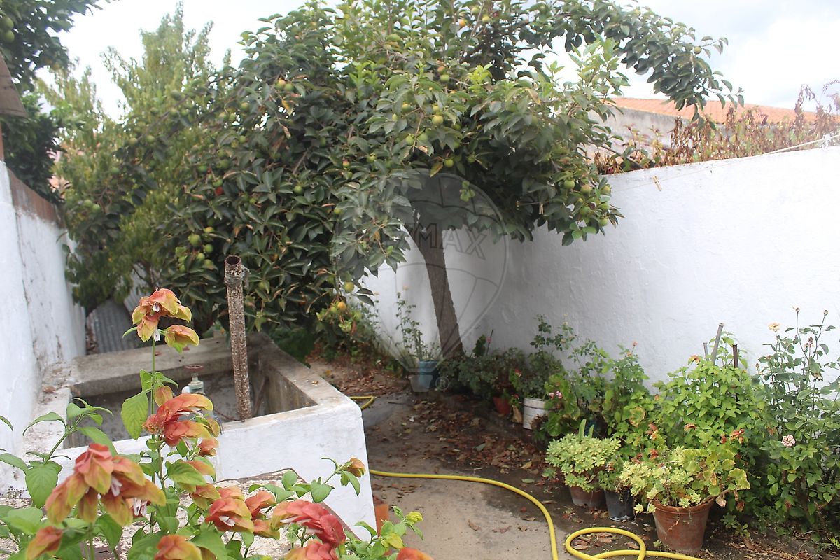 Moradia T2 à venda em Pombalinho, Golegã — foto 29