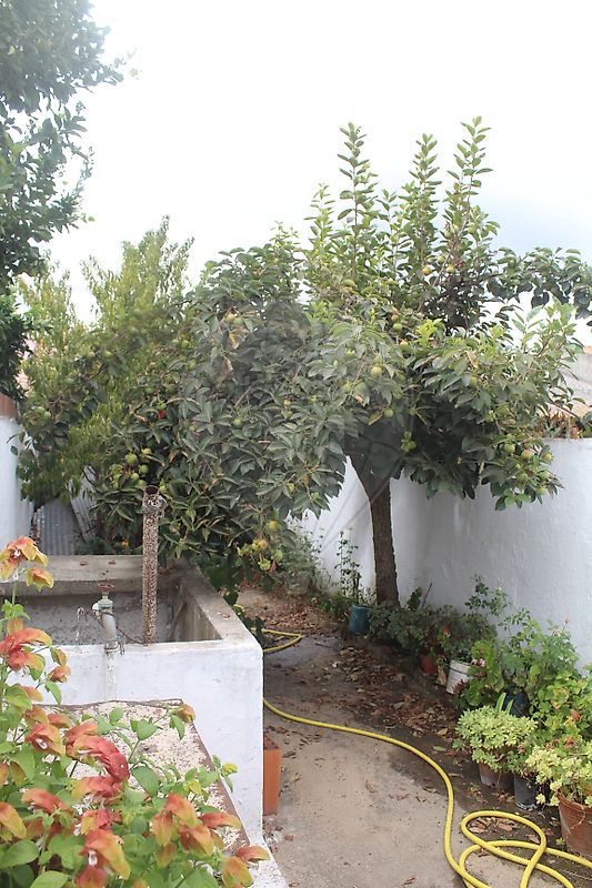 Moradia T2 à venda em Pombalinho, Golegã — foto 30
