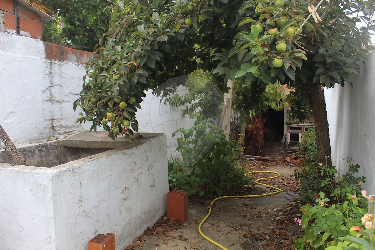 Moradia T2 à venda em Pombalinho, Golegã — foto 31