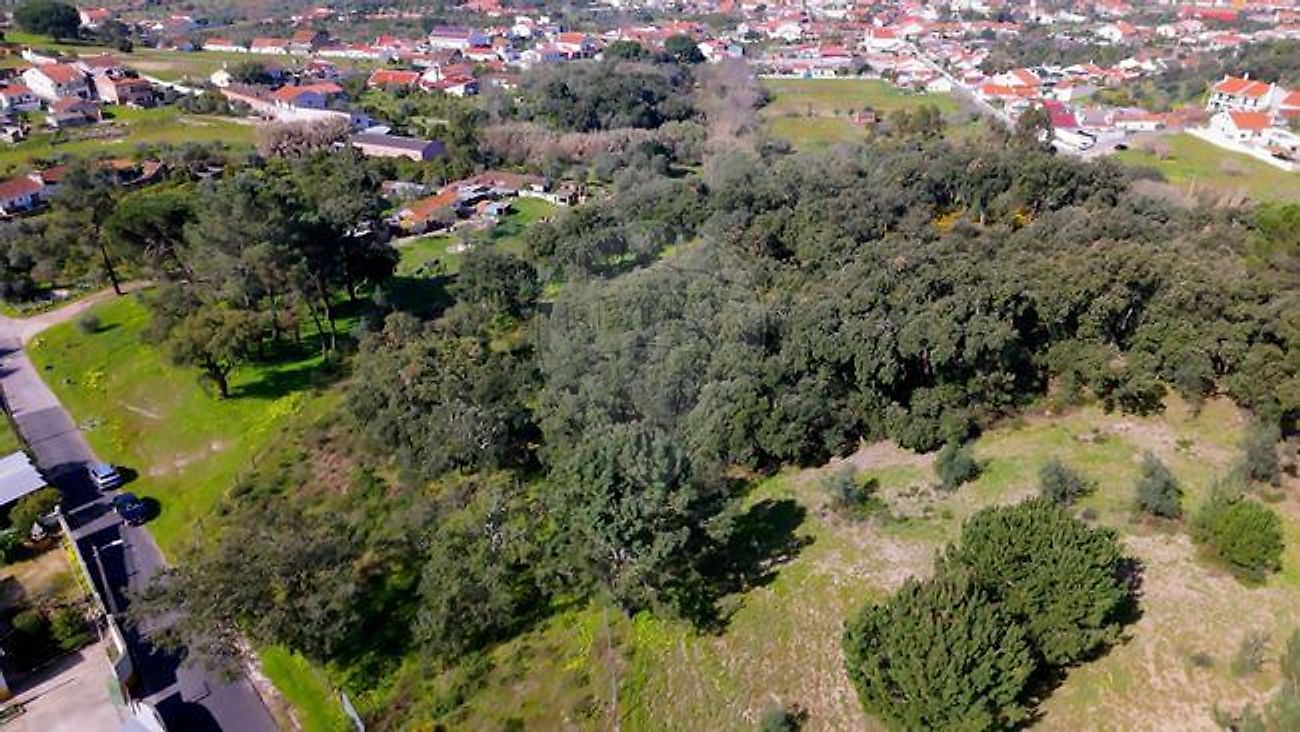 Moradia T1 à venda em Carregueira, Chamusca — foto 13