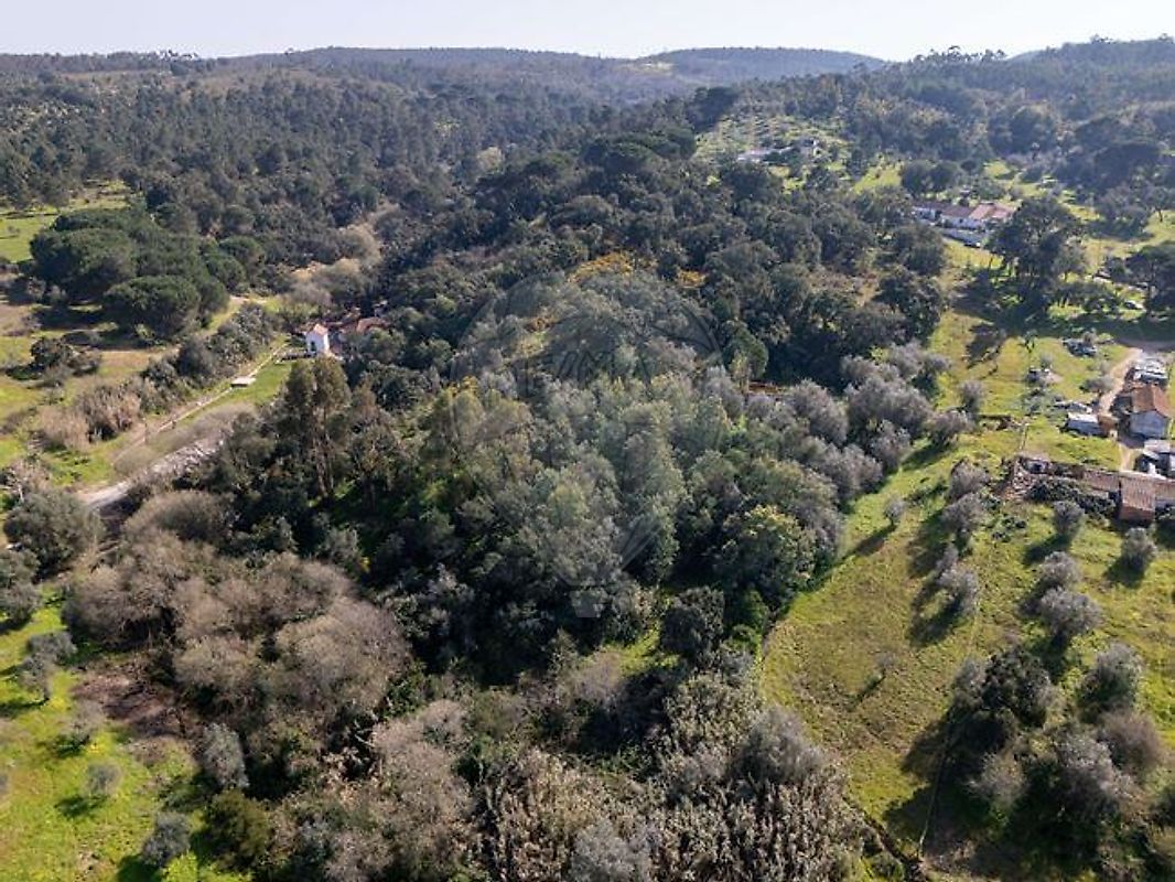 Moradia T1 à venda em Carregueira, Chamusca — foto 14