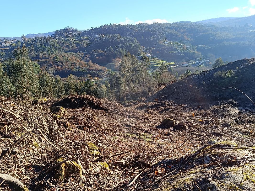 Terreno à venda em Marco de Canaveses