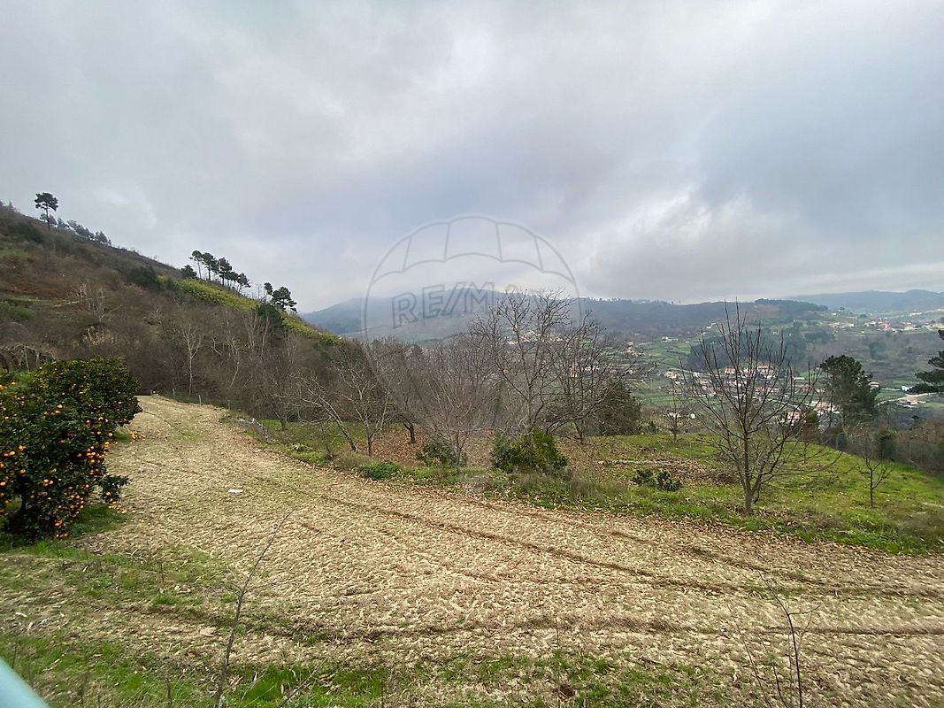 Terreno - Santa Marinha do Zêzere, Baião, Porto