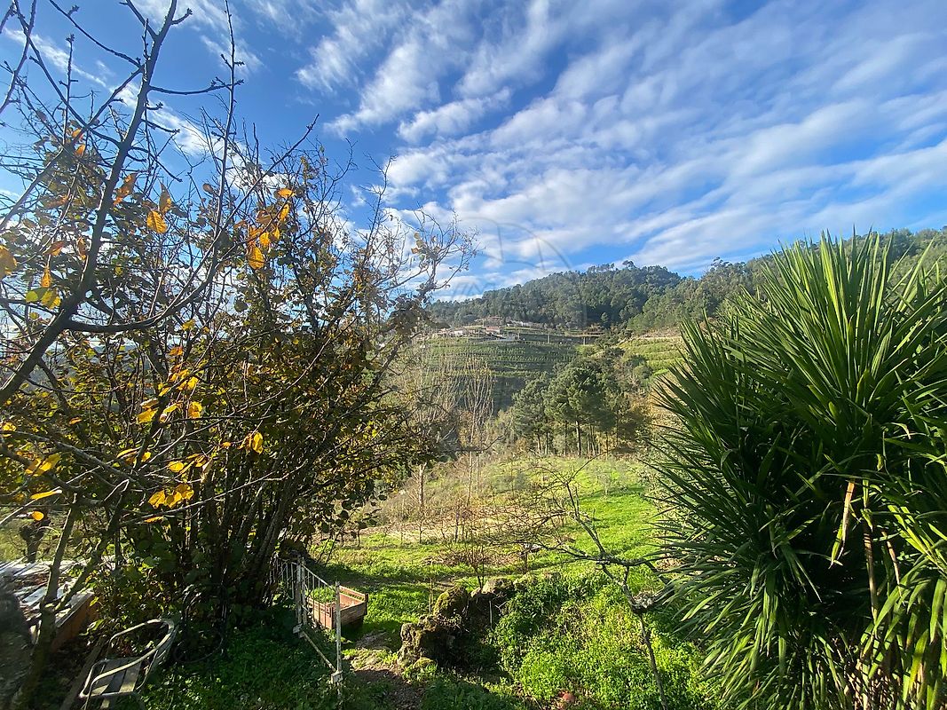 Terreno à venda em Baião