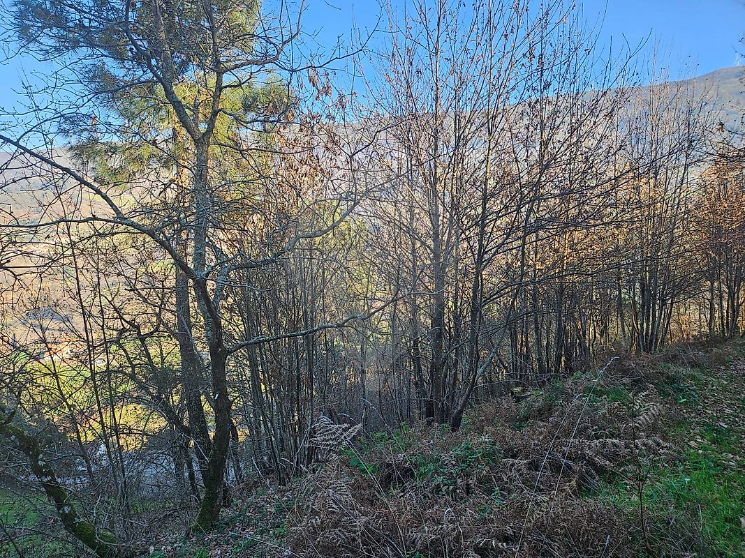 Terreno para venda