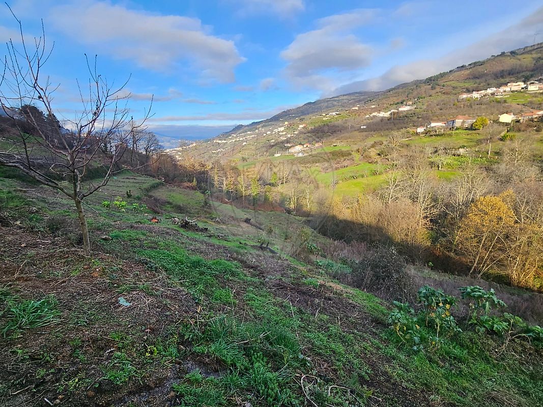 Terreno para venda
