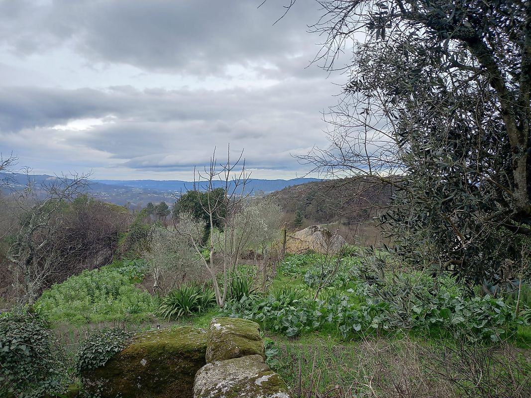 Moradia T0 à venda em Soalhães, Marco de Canaveses — foto 11
