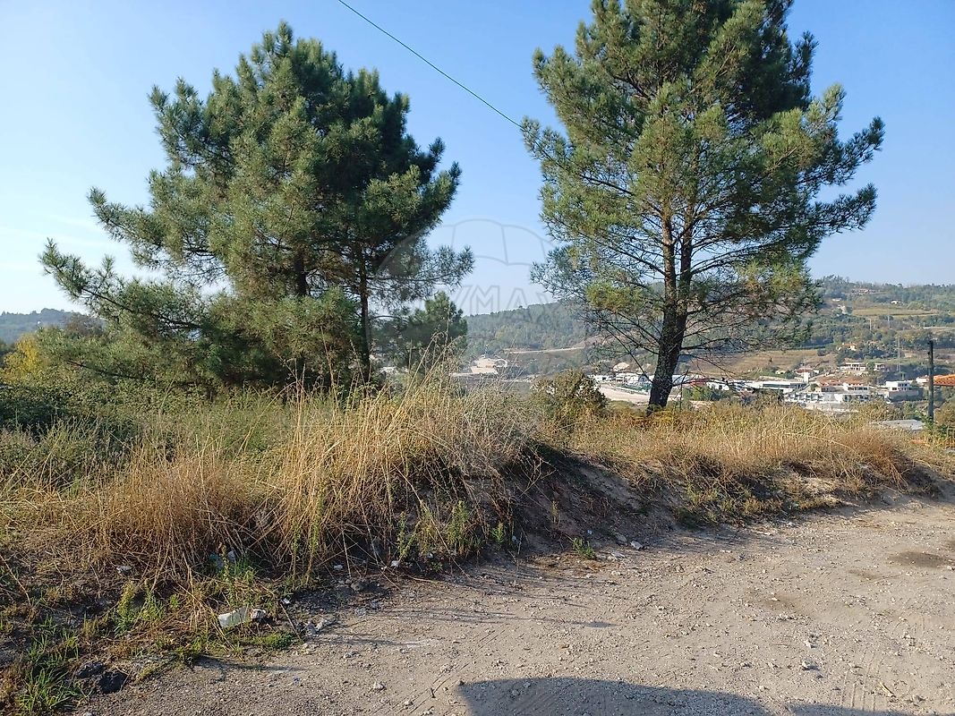 Terreno para venda