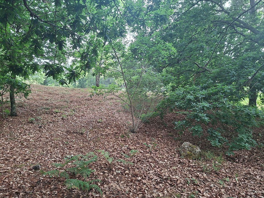Terreno - Marco, Marco de Canaveses, Porto