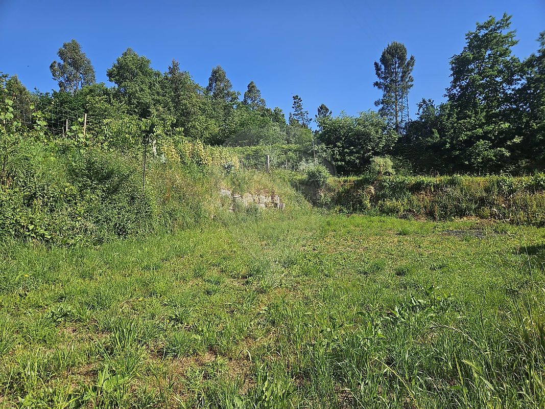 Terreno - Livração, Marco de Canaveses, Porto