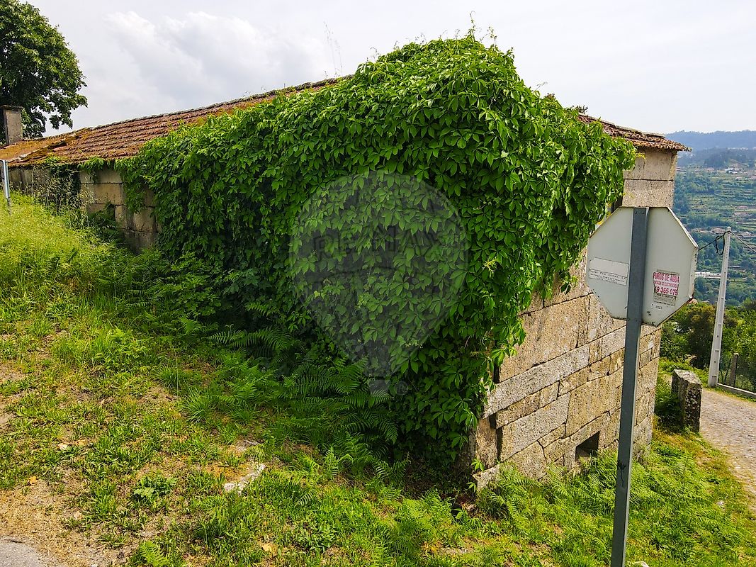 Moradia T2 à venda em Sande e São Lourenço, Marco de Canaveses — foto 6