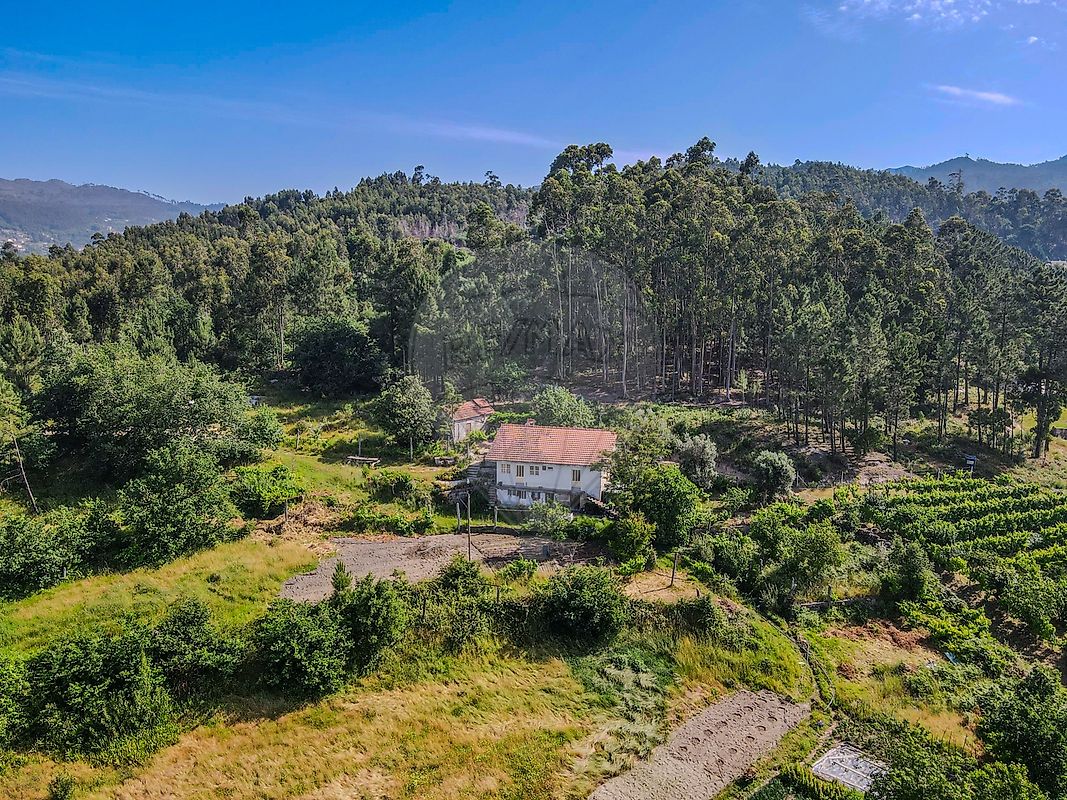 Quinta - Penhalonga e Paços de Gaiolo, Marco de Canaveses, Porto