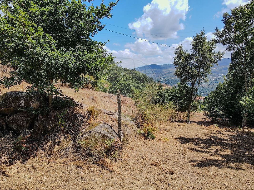 Moradia T0 à venda em Penhalonga e Paços de Gaiolo, Marco de Canaveses — foto 26