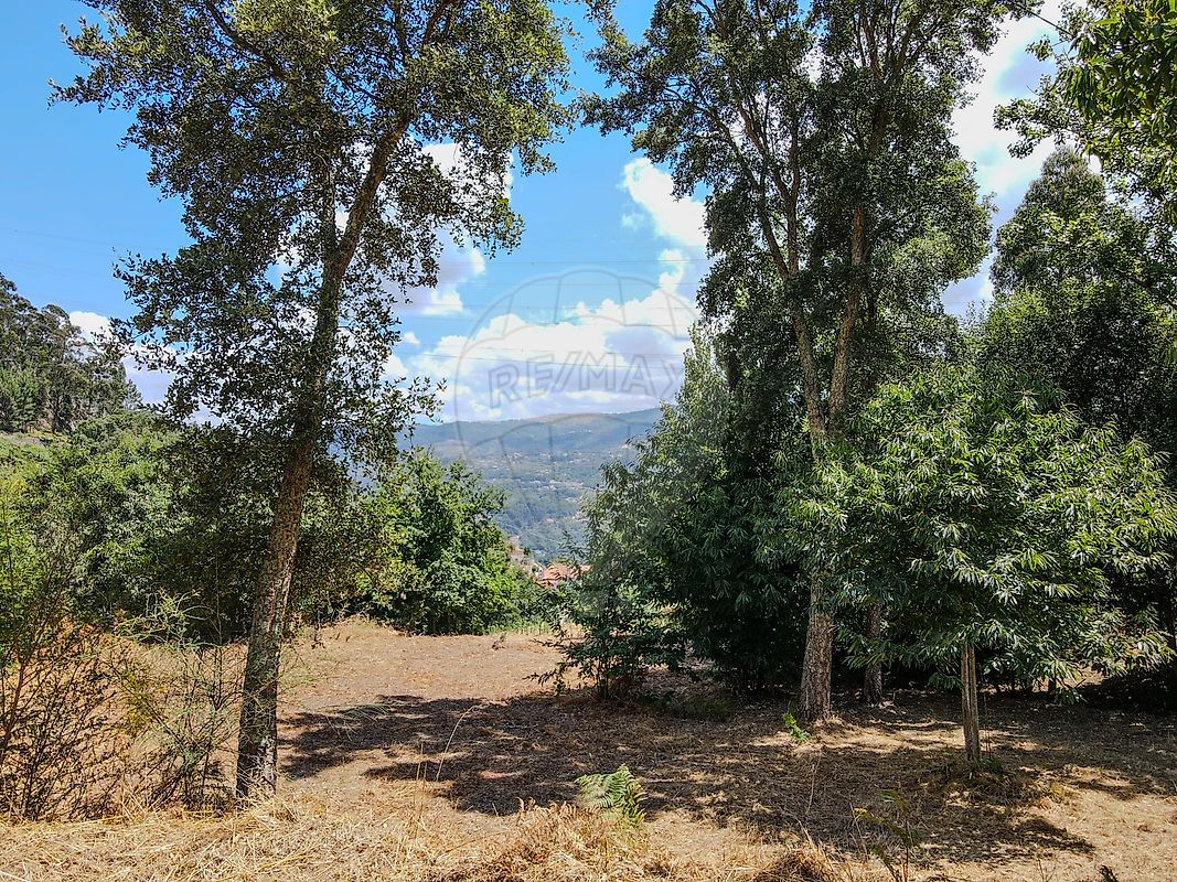 Moradia T0 à venda em Penhalonga e Paços de Gaiolo, Marco de Canaveses — foto 24