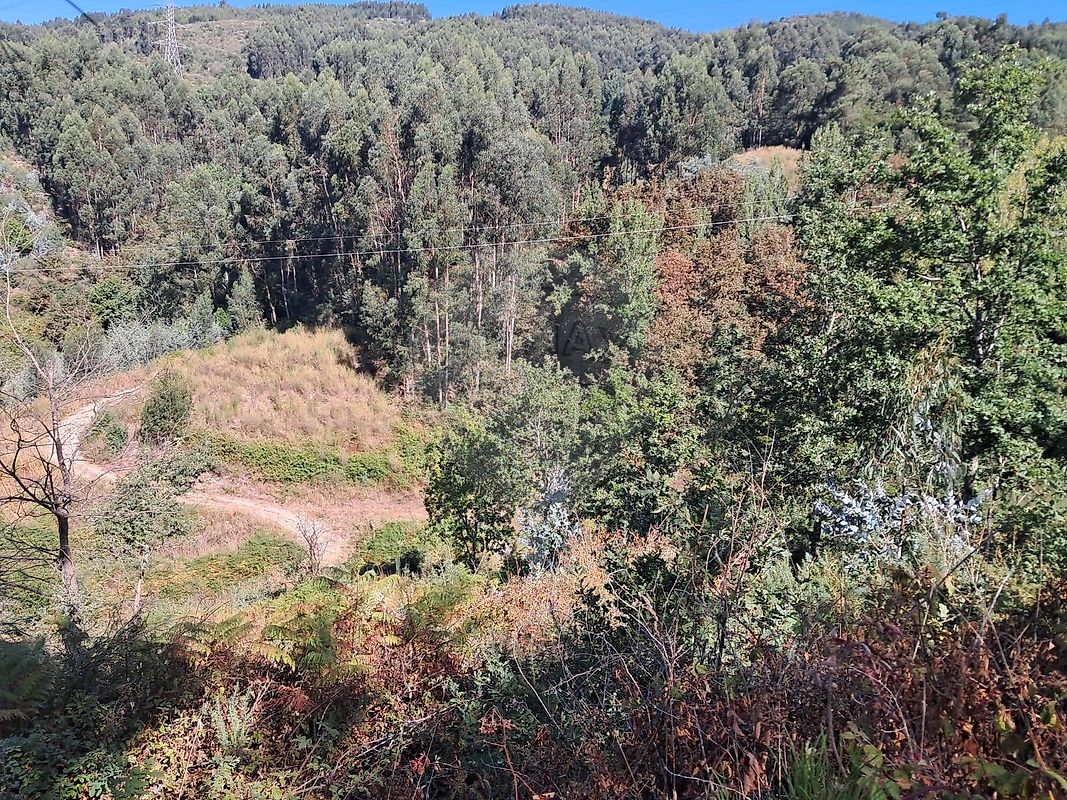 Terreno - Gove, Baião, Porto
