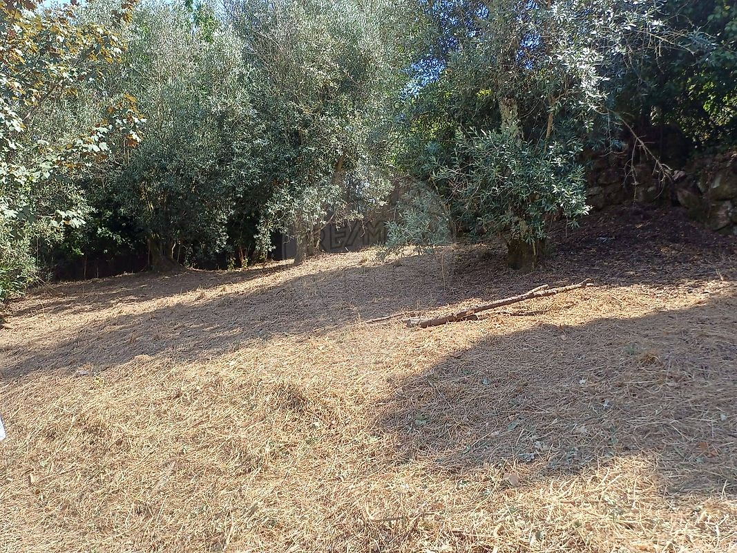 Moradia T2 à venda em Paredes de Viadores e Manhuncelos, Marco de Canaveses — foto 19