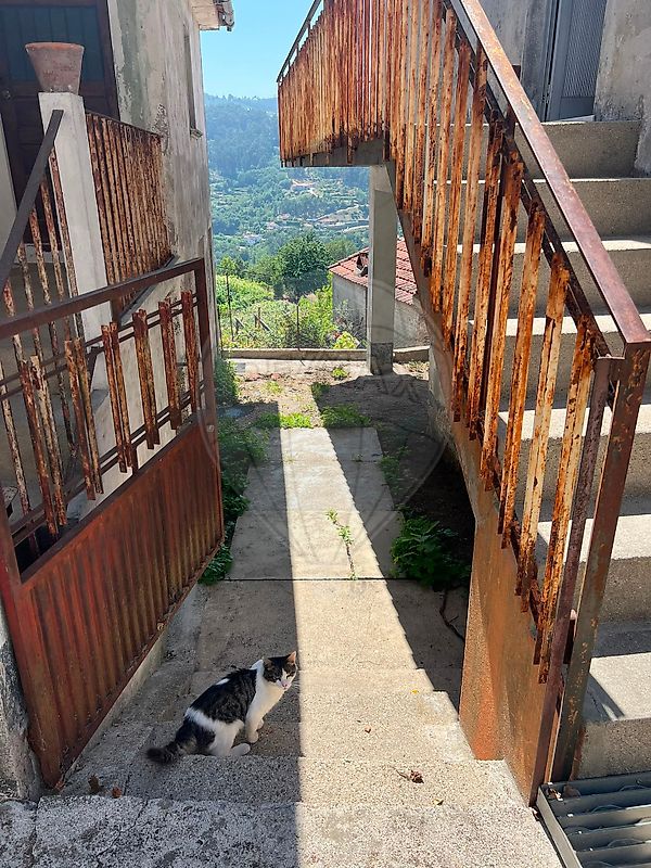 Moradia T0 à venda em Soalhães, Marco de Canaveses — foto 6