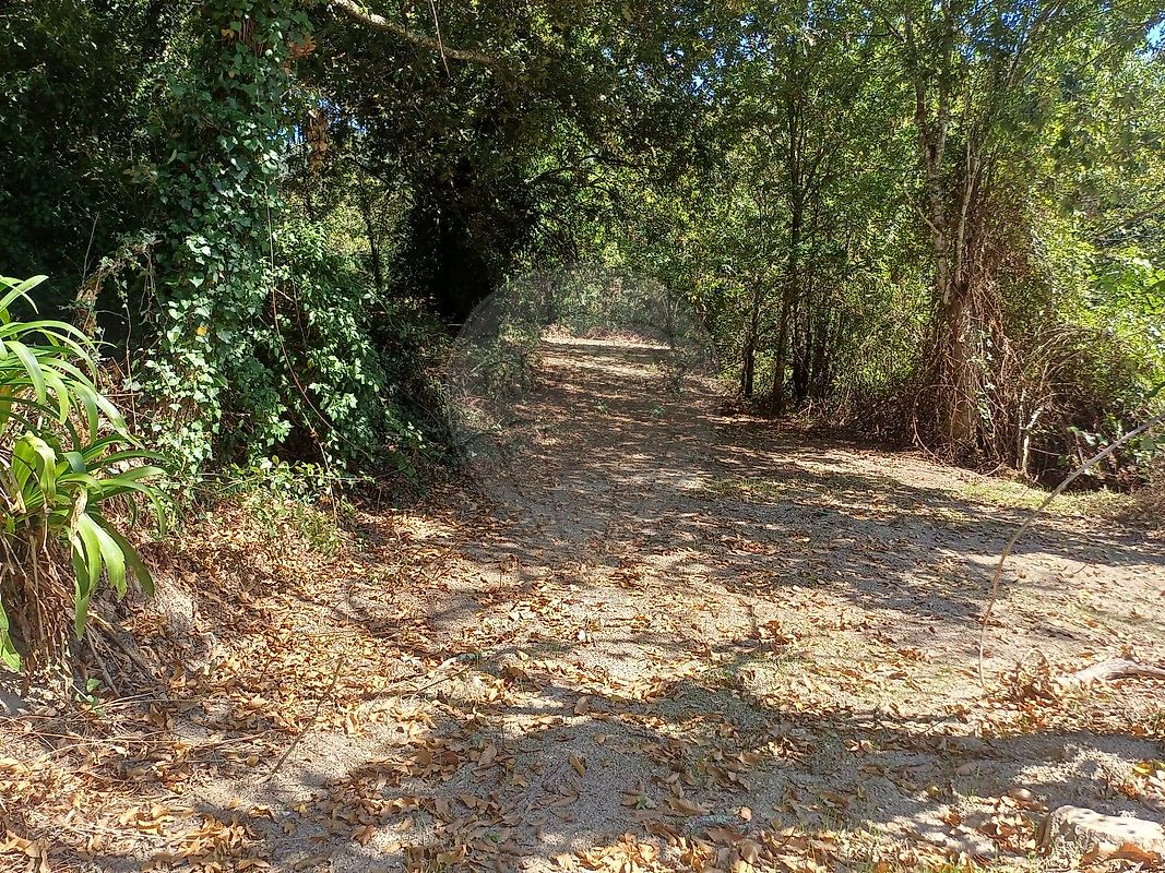 Moradia T2 à venda em Paredes de Viadores e Manhuncelos, Marco de Canaveses — foto 6