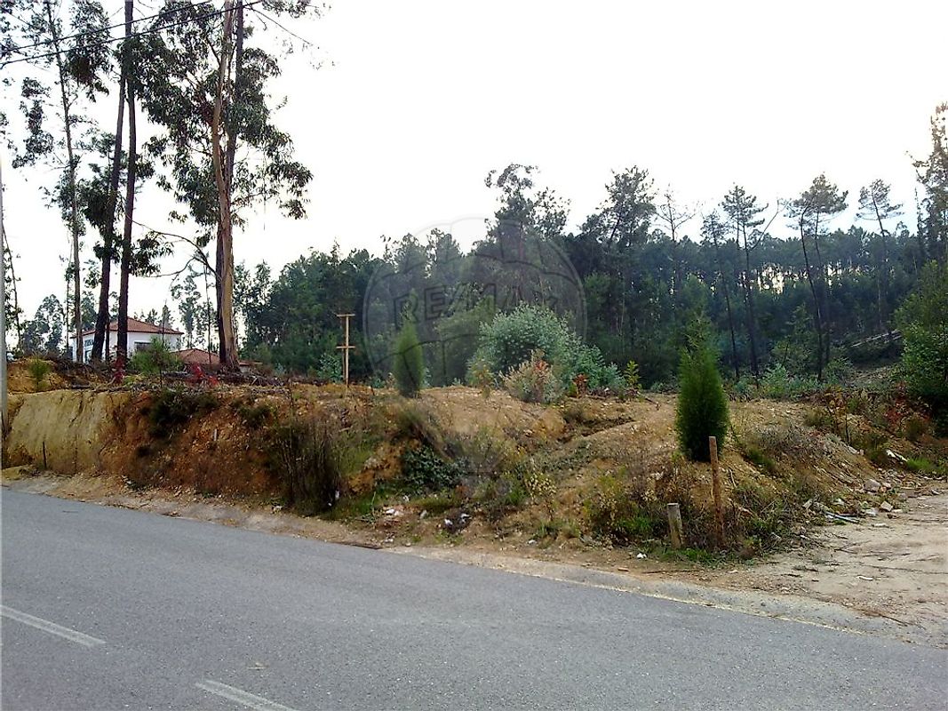 Land for sale in Mortágua, Portugal — €77,380